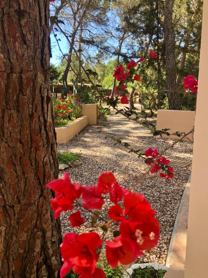 Apartamento Sa Ginebra, Cala Saona Buitenkant foto